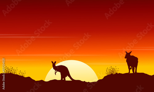 Collection kangaroo at sunset silhouette scenery