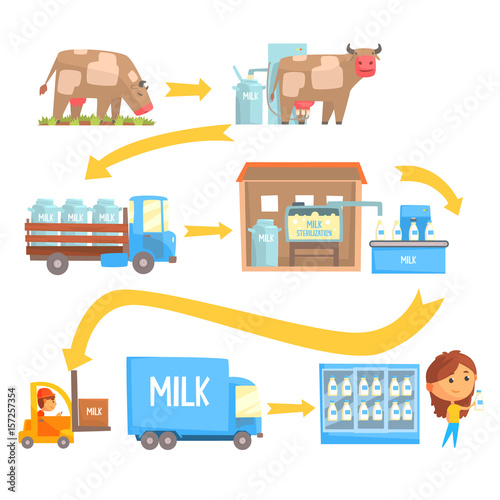 Production and processing milk stages set of vector Illustrations