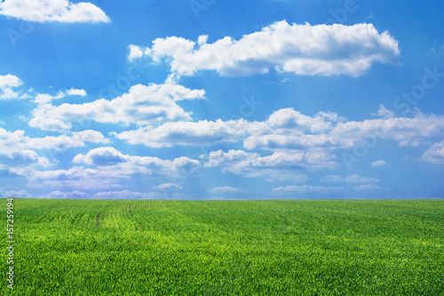green field on a background of the blue cloudy sky