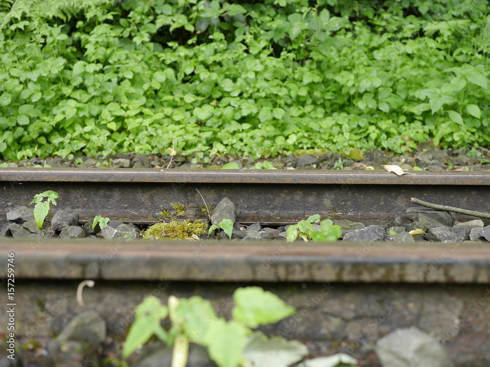 Zugstrecke in der Natur