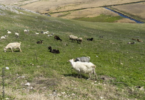 Beautiful panorama from Enisala Medieval Fortress also referred as Heracleea Fortress with Razim lake in the background, Tulcea county, Dobrogea region, Romania, in a sunny spring day  photo