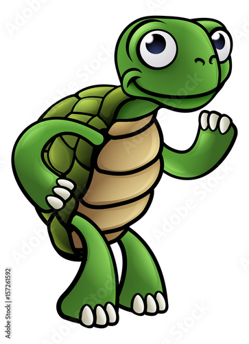 Tortoise Cartoon Character