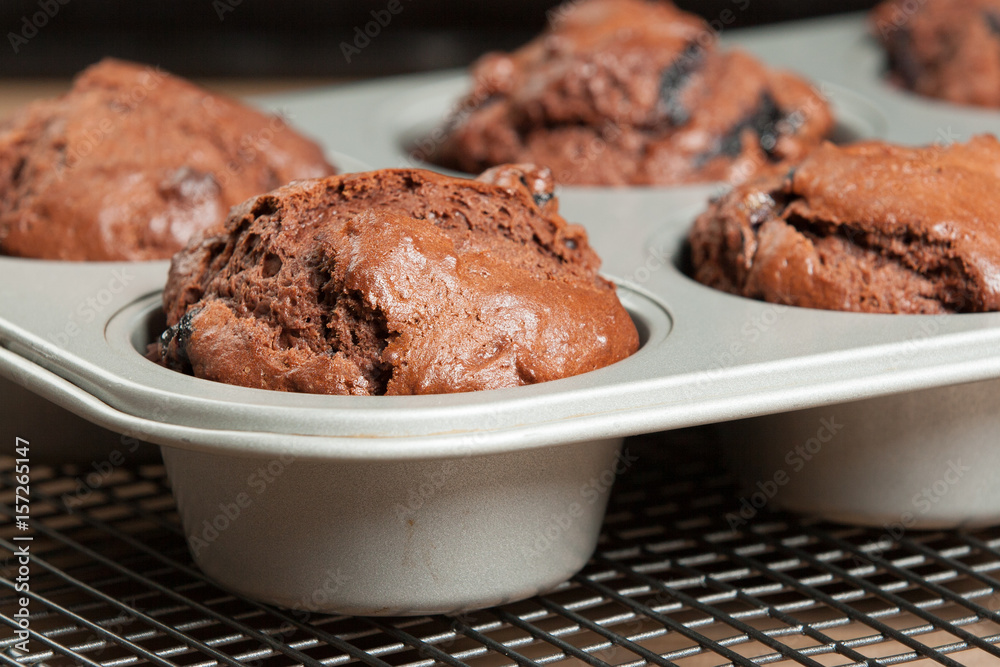 Home Baked Blueberry Chocolate Muffins.