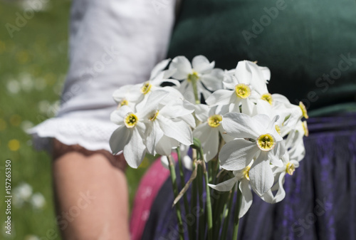 Narzissen vor Ausseer Dirndl, Narzissenfest