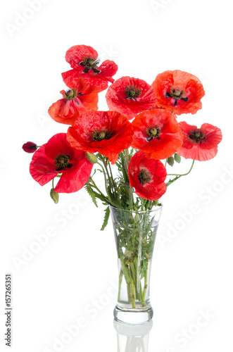 Wallpaper Mural Bouquet of poppies in glass vase isolated on white background Torontodigital.ca