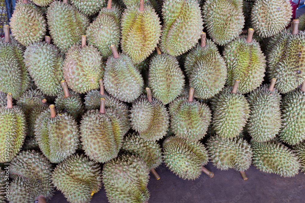 durian king of fruit durian king of fruit