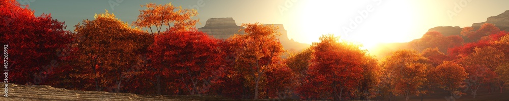 Panorama of autumn landscape, autumn trees at sunset