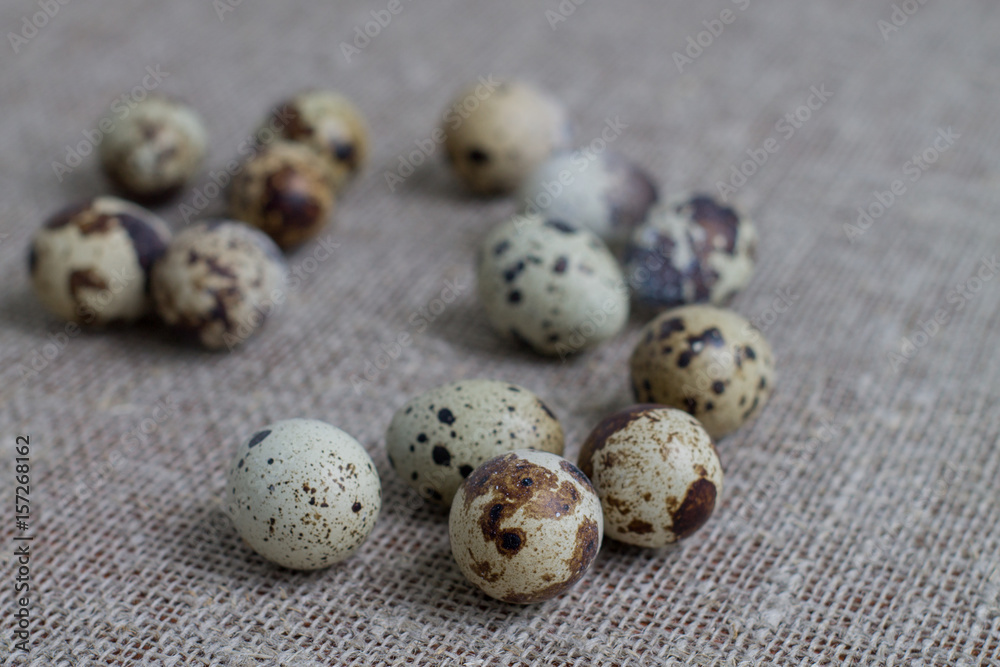 Fototapeta premium Several quail eggs on burlap. Close-up