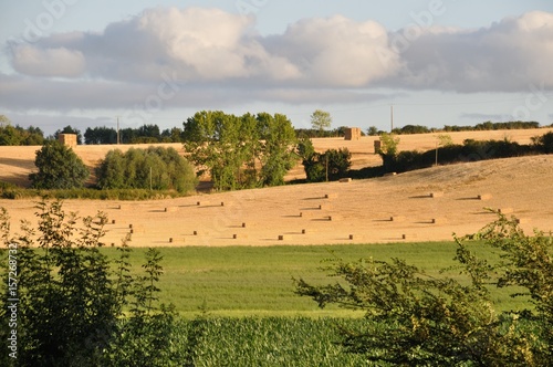 Photos Rural landscape in the Layon