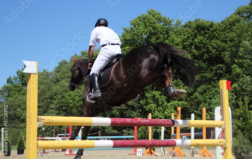 прыжок скаковой лошади через барьер на соревнованиях