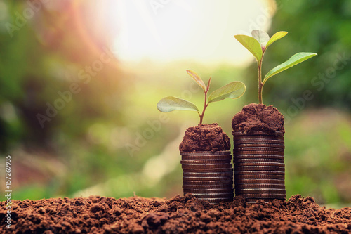 concept coins in soil with young plant for saving money