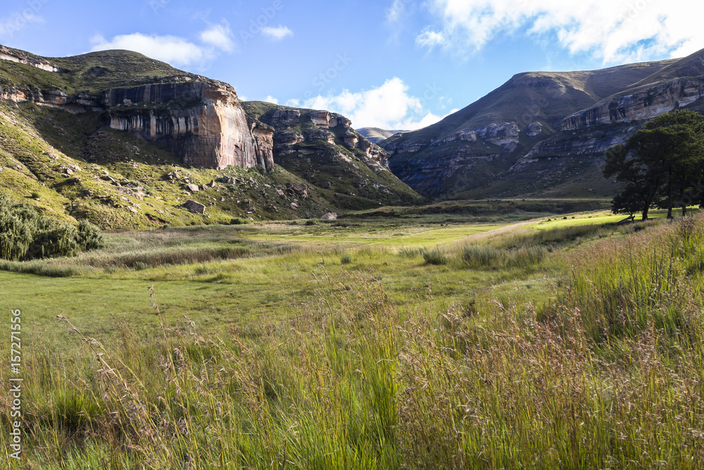 Fototapeta premium Beautiful landscape in Golden Gate Park, South Africa