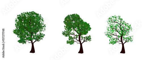 The set of summer and spring trees. 