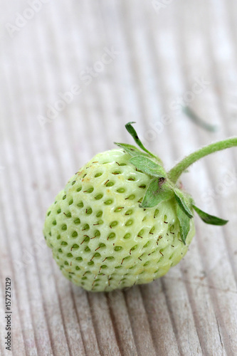 Strawberry fruit,unripe green, studio shot photo