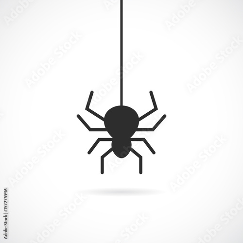 Spider vector icon