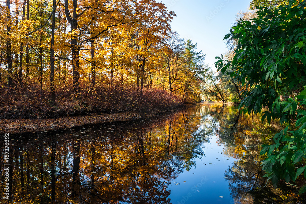 Pond in the autumn park with trees reflected in it.