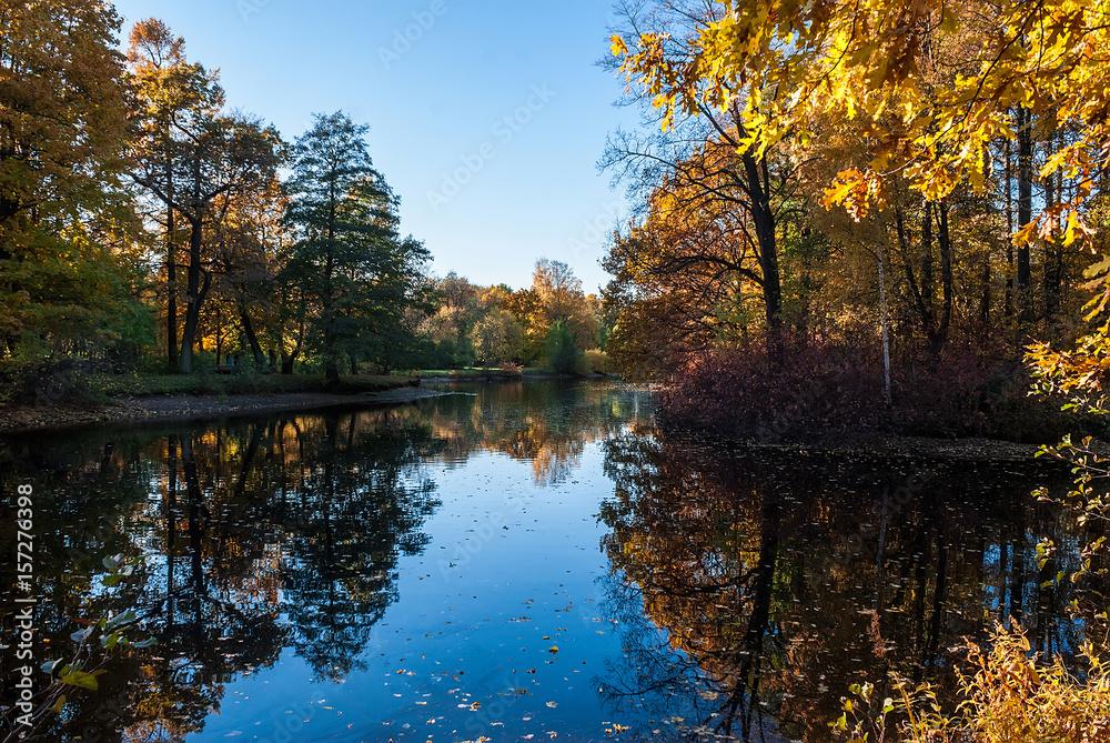 Fototapeta premium Pond in the autumn park with trees reflected in it.