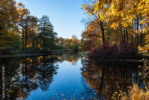 Pond in the autumn park with trees reflected in it.