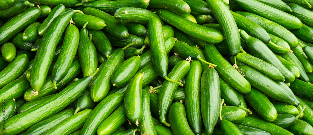 fresh cucumbers. food background fresh cucumbers. food background