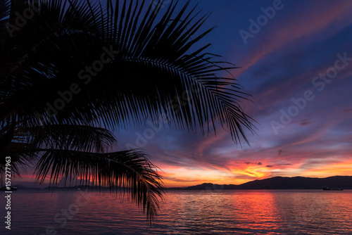 Tropical sunset and foreground Silhouette coconut palm trees on beach