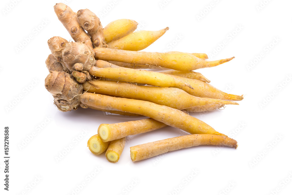 finger root Ingredients for Thai Cuisine and thai herb on white background finger root Ingredients for Thai Cuisine and thai herb on white background