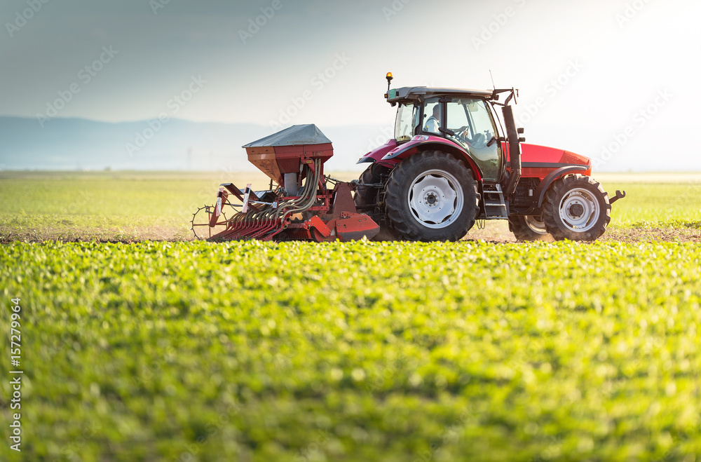 Fototapeta premium Farmer with tractor seeding - sowing crops at agricultural field in spring