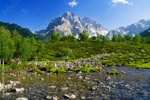 Mountain brook in the Caucasus.
