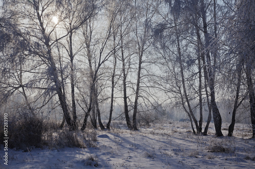 landscape © Александр Борисов