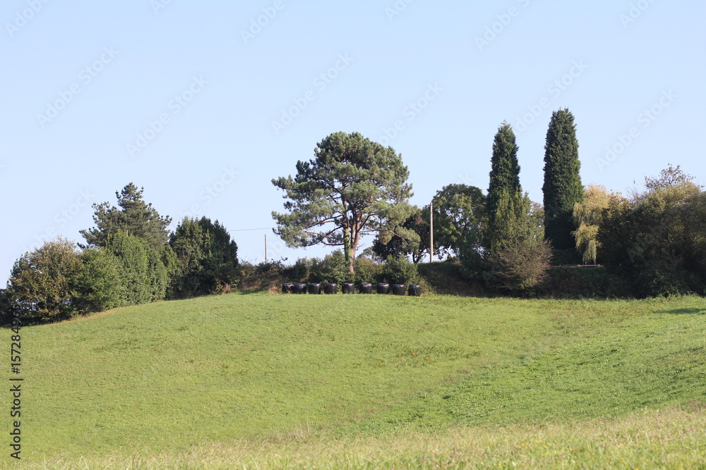 Fototapeta premium Landscape