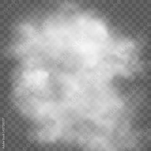Transparent cloud vector illustration