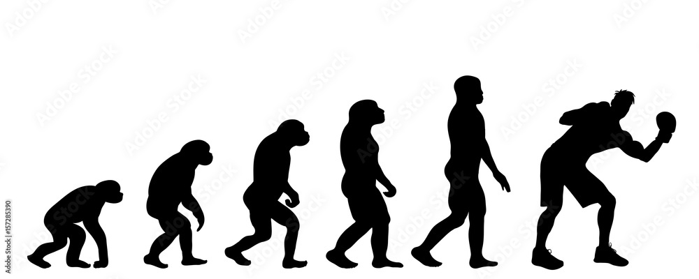 Vector silhouette of evolution of man. Vector silhouette of evolution of man.