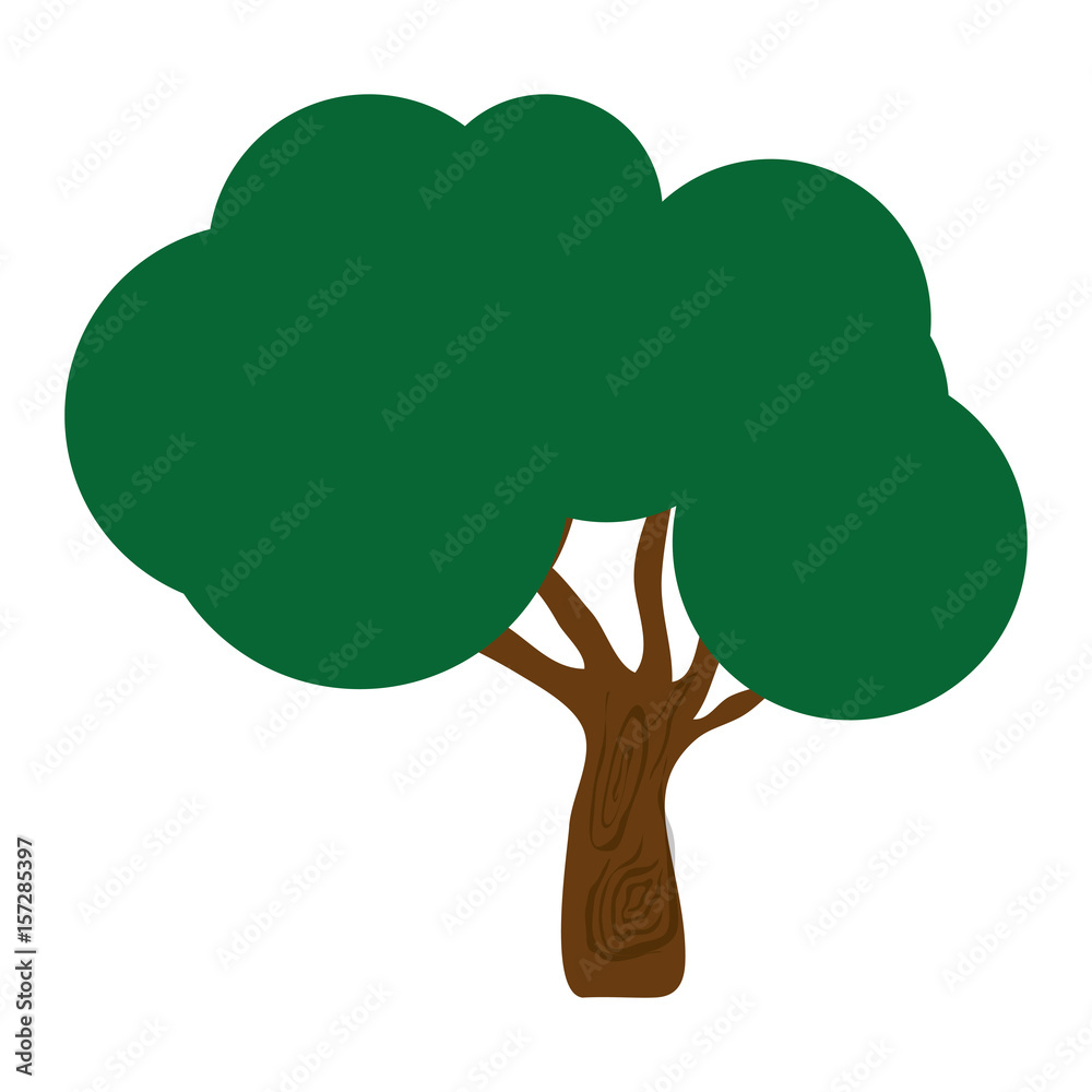 tree icon over white background. colorful design. vector illustration