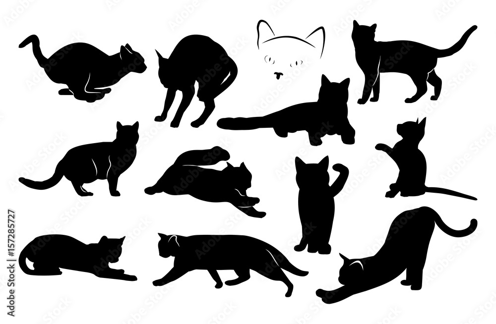 set of black cat silhouettes. vector image