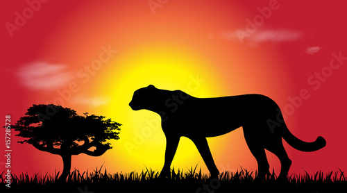 Vector silhouette of cheetah at savana.