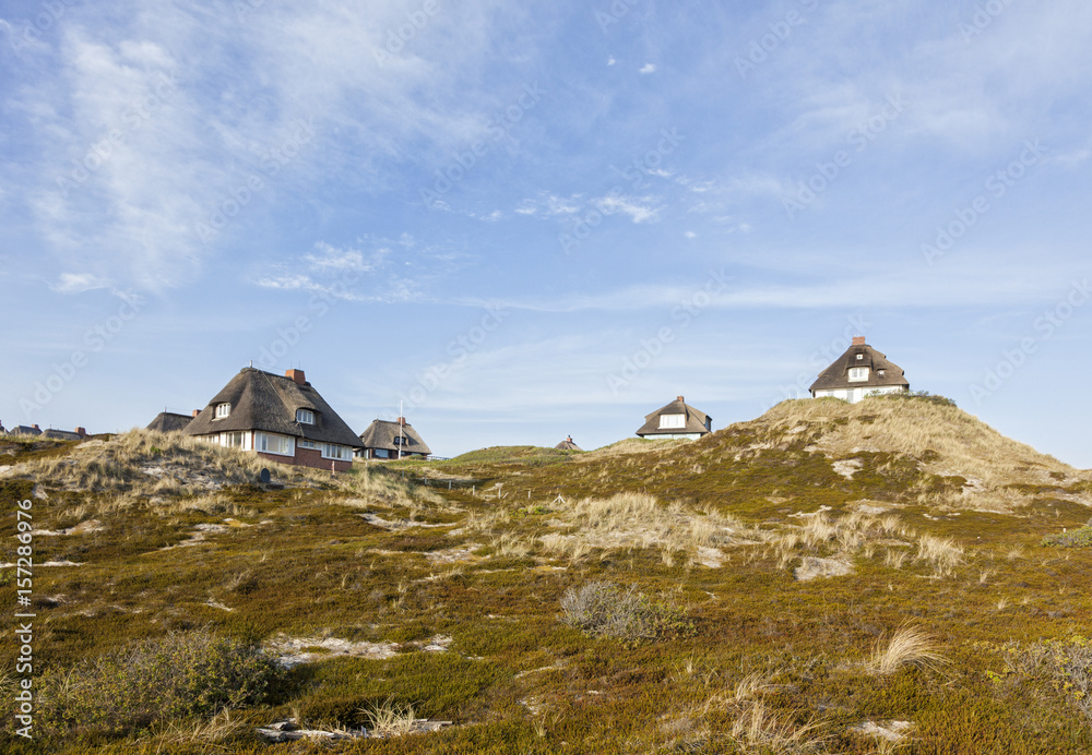 Summer houses in the dunes of Sylt, Germany