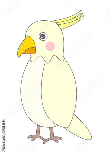 オウム