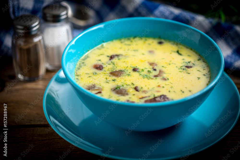 Bowl of vegetarian mushroom soup.