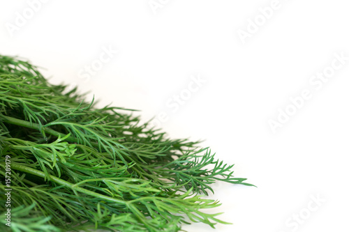 Green dill isolated on white background with space on the right