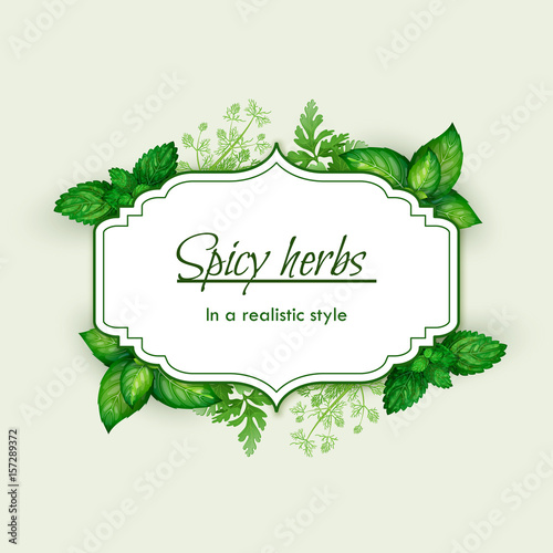 Spicy herbs and vegetables in a realistic style, frame
