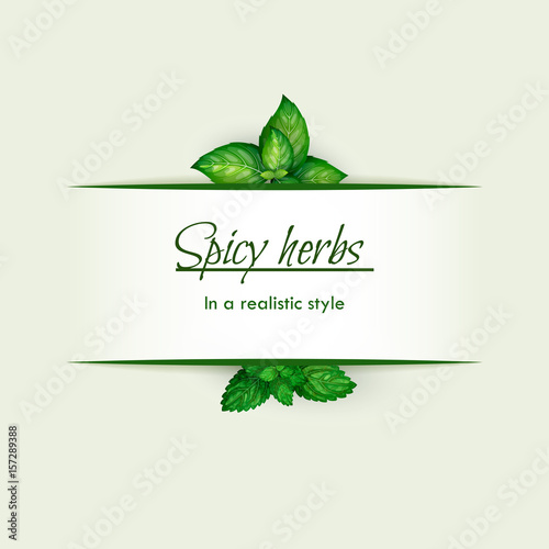 Spicy herbs in a realistic style, frame