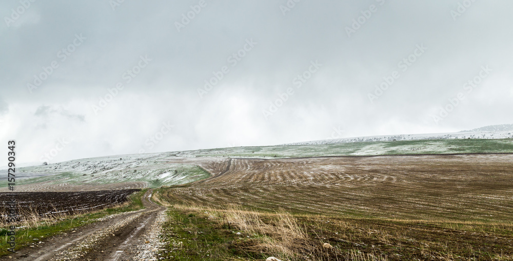 Snow in freshly sown wheat fields