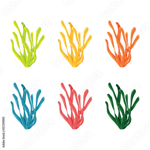 Collection of underwater seaweed isolated on white background