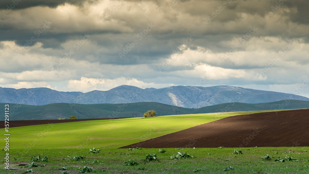 Storm over spring agricultural fields