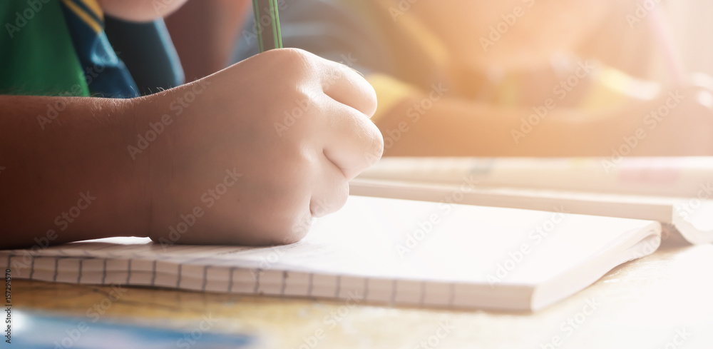 Obraz premium Rural students write a book