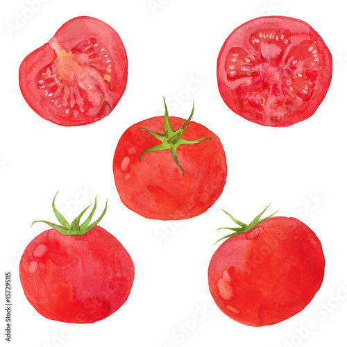 Fototapeta Naklejka Na Ścianę i Meble -  watercolor tomato set