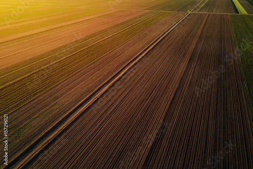 Aerial view of cultivated field in sunset