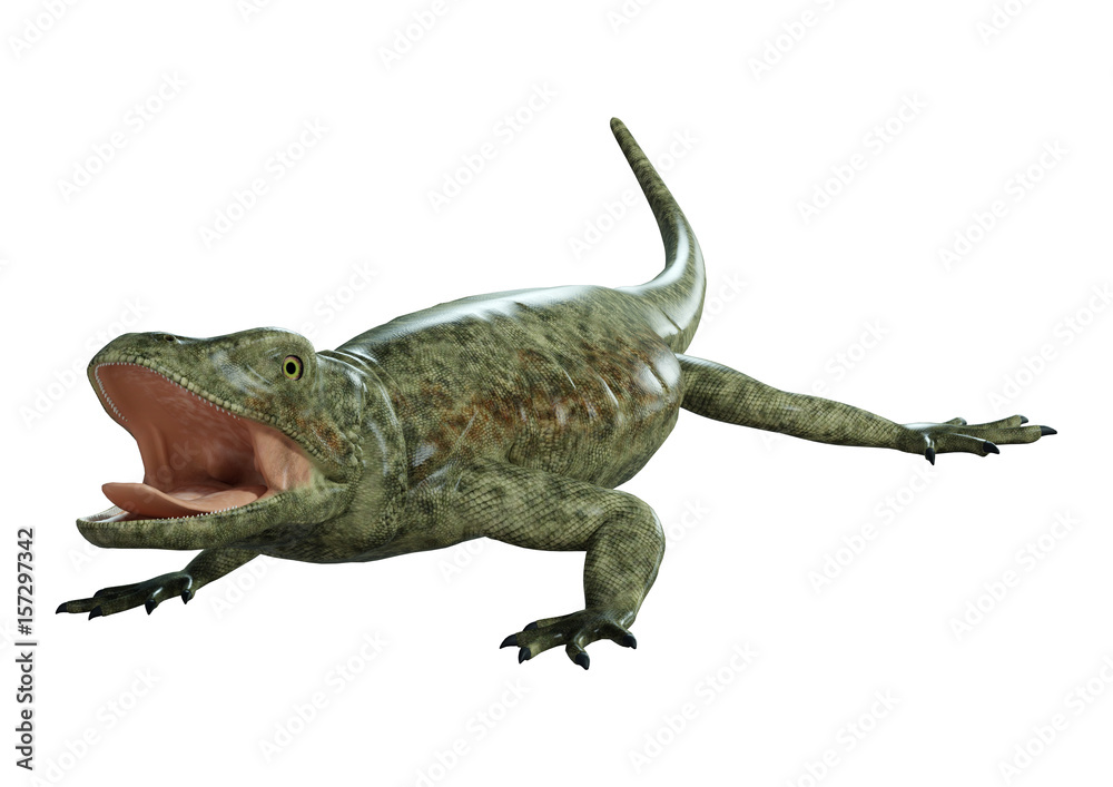 3D rendering of a green chuckwalla on White 3D rendering of a green chuckwalla on White