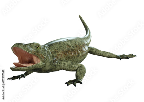 3D rendering of a green chuckwalla on White