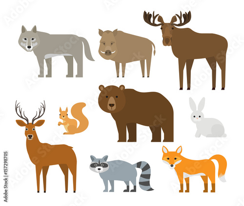 forest animals set on white background