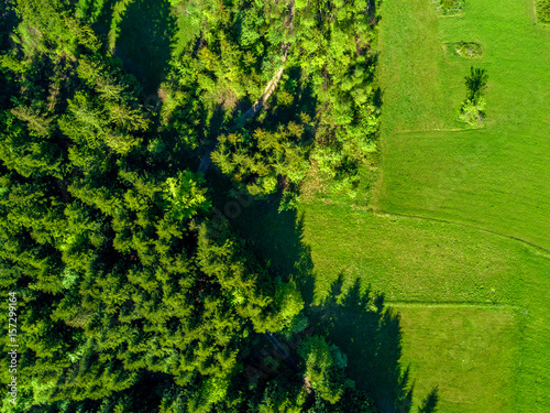 Aerial view of green landscape